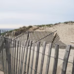 beach-sand-view
